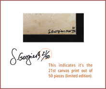 Load image into Gallery viewer, Each painting comes in 50 Canvas Prints. The artist has signed and written the number of this very print. You can read the characteristics of an Amass Print in its COA.